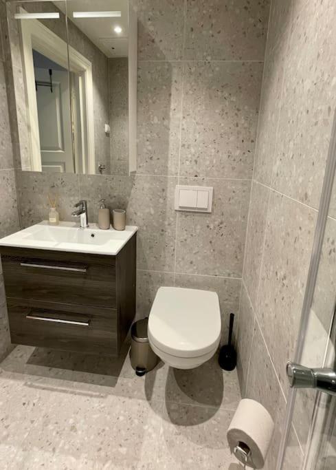 Modern And Cozy Studio Apartment In Central Oslo Ngoại thất bức ảnh